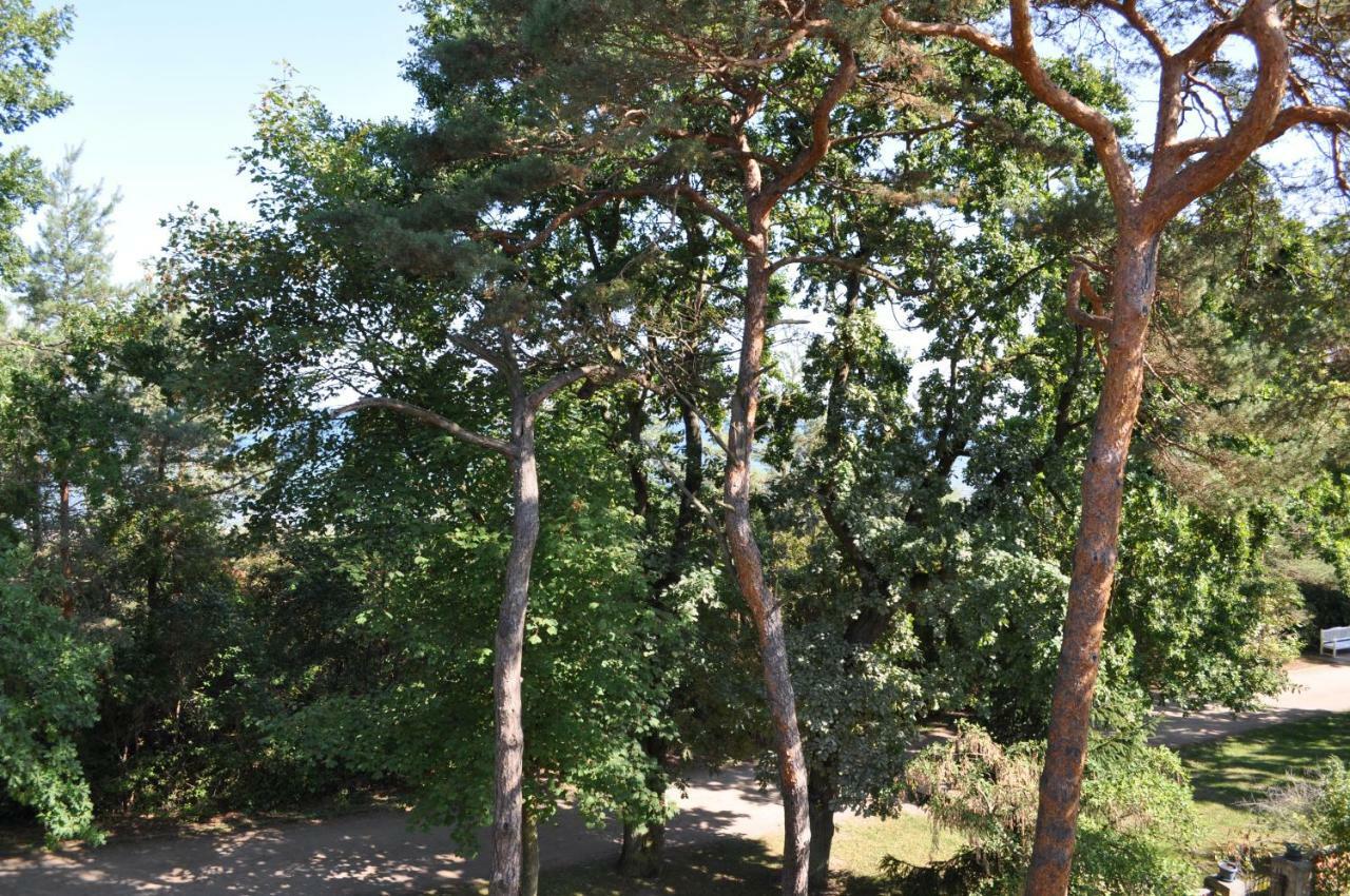 Strandvilla Waldhaus Boltenhagen  Εξωτερικό φωτογραφία